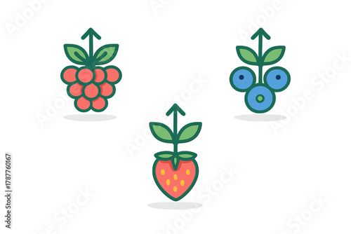 Stylized icons representing raspberry, strawberry, and blueberry plants