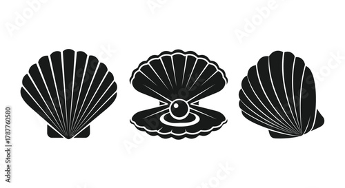 Vector art of three seashell illustrations the left shell is closed, the center shell is open with a pearl, and the right shell is closed