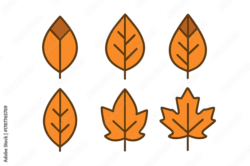 Obraz premium Six stylized orange autumn leaves icons with brown outlines
