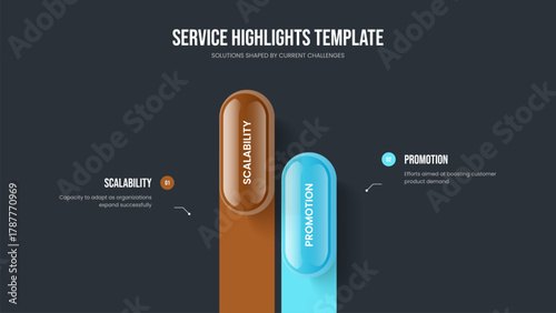 Professional Plan 2 Option Diagram Slideshow Layout. Marketing Overview Frame Design Vector Illustration. Sales Portfolio Two Element Infographic Slide Template.