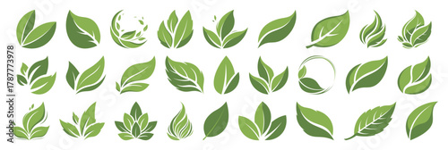 Green leaf icons set. Leaves icon on transparent background. Collection green leaf. Elements design for natural, eco, vegan, bio labels, garden. Vector botanical collection. Fresh plant icons