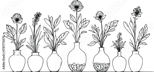 Black and White Botanical Illustration of Various Flowers and Plants in a Row of Small Vases