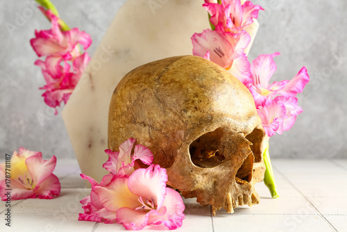 Human skull with beautiful ...