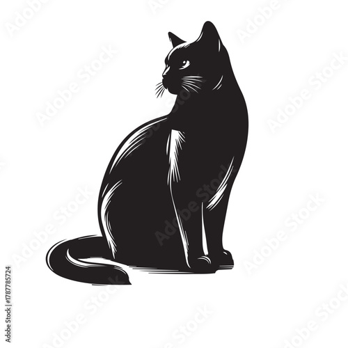 Adorable Domestic Cat Sitting and Looking Curiously at Camera