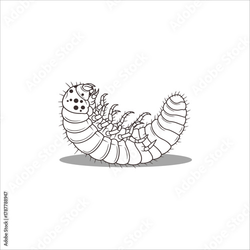 insect larvae hand drawn illustration artwork