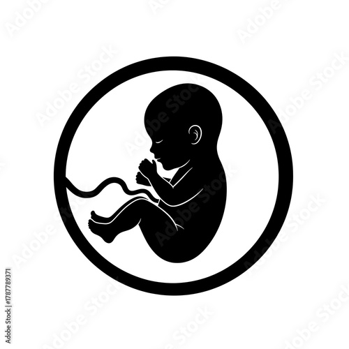 Fetus Silhouette in Womb - A Symbol of Life and New Beginnings.