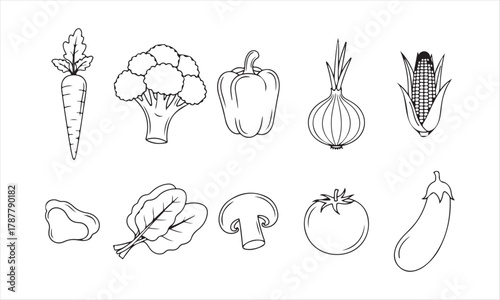 Vector file icon representing digital data format and storage