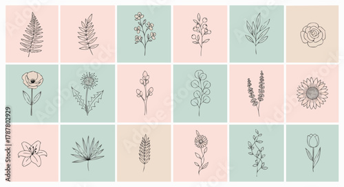 A charming collection of minimalist botanical line art illustrations