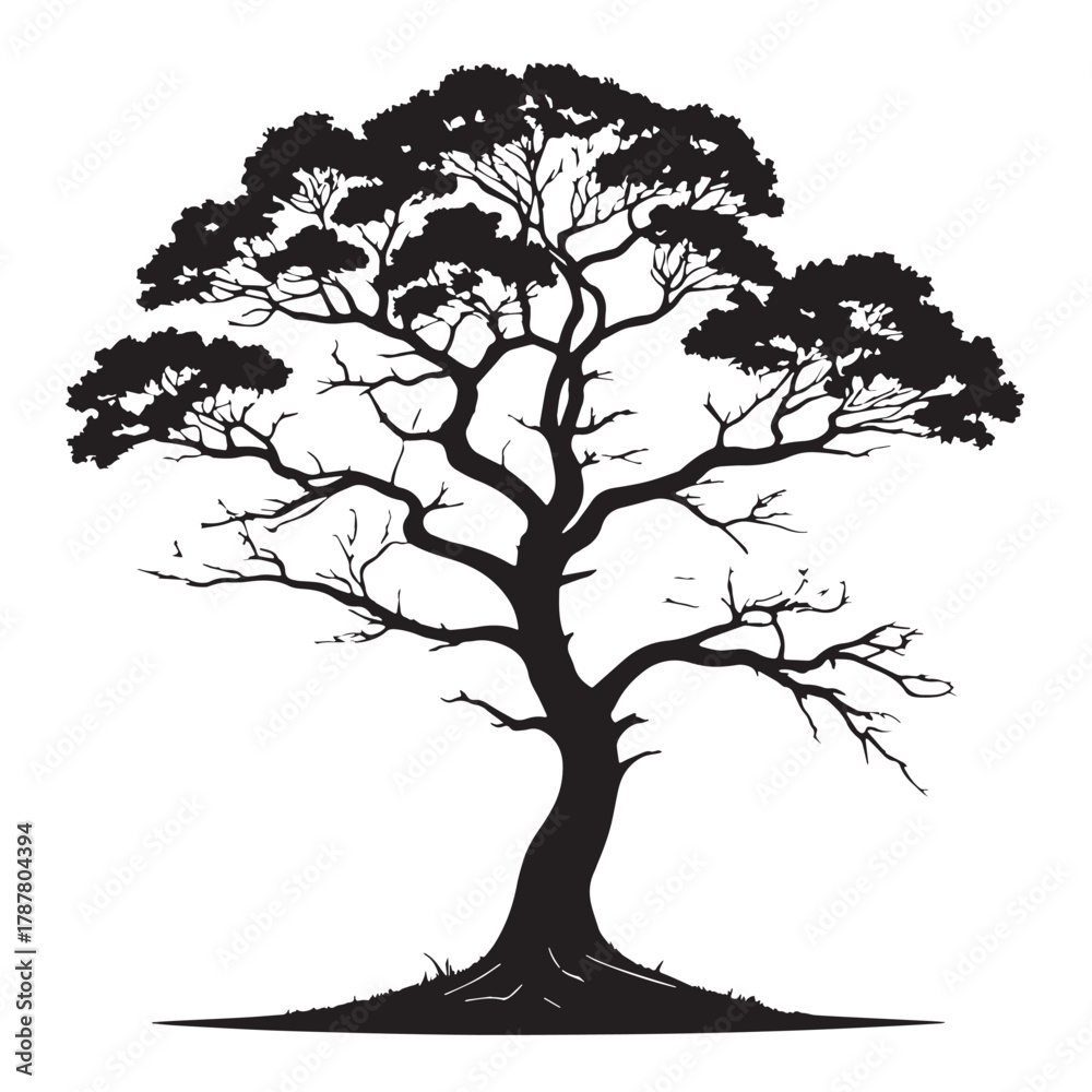 Obraz premium Black Tree Silhouette Vector, High Quality Illustration on White Background