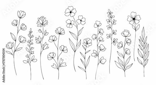 A delightful collection of hand-drawn outline flowers and botanical elements