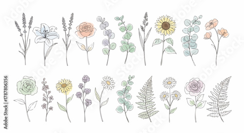 Collection of delicate hand-drawn botanical illustrations featuring various flowers and foliage elements with subtle watercolor accents