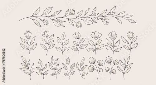 Collection of delicate hand-drawn botanical elements, featuring minimalist line art flowers and leafy branches perfect for elegant design accents