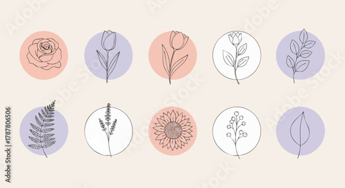 Collection of delicate line art botanical illustrations including roses, tulips, sunflowers, ferns, and leaves set within soft pastel circles