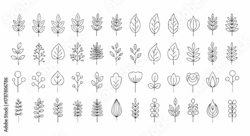 Collection of hand-drawn botanical line art icons featuring various simple leaf shapes, branches, and abstract floral elements