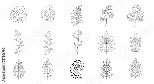 Collection of minimalist black and white hand-drawn botanical line art elements, featuring various leaves, vines, flowers, and floral spirals perfect for logo design or decoration