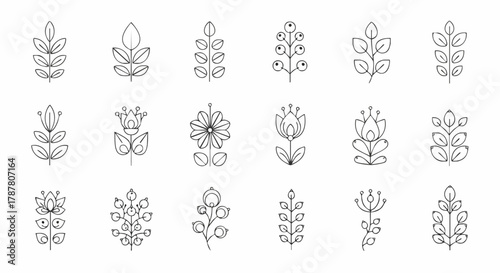 Collection of simple botanical line art designs. Set of plant elements for decoration, invitations, cards, patterns, textiles