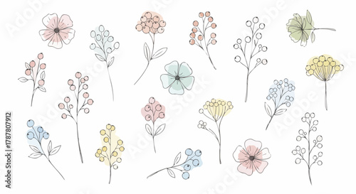 Delicate hand-drawn floral and berry elements featuring soft watercolor splashes perfect for spring, nature, or feminine design backgrounds