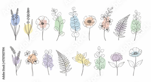 Delicate hand-drawn botanical line art of flowers and leaves. Pastel watercolor washes on white. Minimalist, elegant, ideal for spring and summer