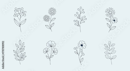 Elegant floral pattern featuring botanical line art illustrations of delicate flowers, berries, and branches on a light background
