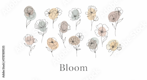 Elegant vector collection of abstract wildflower drawings in monoline style