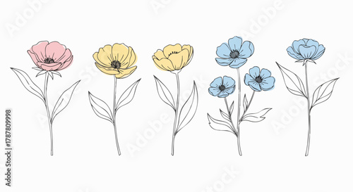 Floral vector illustration. Various colorful flowers in outline style. Minimalist drawing of botanical elements