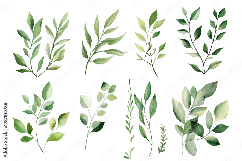 Fototapeta premium A collection of beautifully illustrated green leaves various shapes and sizes. perfect for nature-themed designs. backgrounds. or botanical illustrations