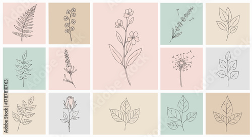 Hand-drawn botanical line art of diverse plants, flowers, and leaves. Minimalist sketches arranged on soft pastel backgrounds