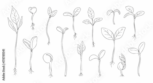 Hand-drawn illustration of various plant seedlings. Sketch style botanical art. This vector design depicts sprouts and new growth