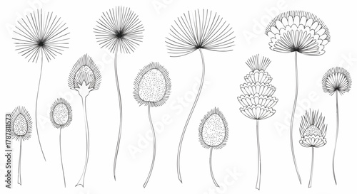Hand-drawn illustration of various stylized flowers in black and white. Delicate lines create a botanical and whimsical feel