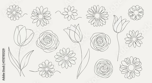 Minimalist continuous line art set featuring various delicate flowers like tulips, roses, and daisies for elegant design elements