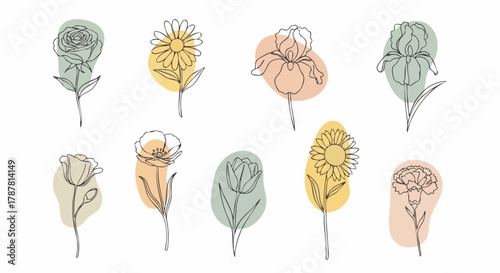 Minimalist line art set featuring various flowers like roses, daisies, and irises, decorated with abstract pastel color blobs