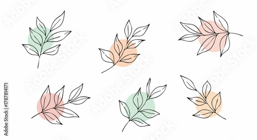 Minimalist line art of plant branches with soft pastel colored circles. Ideal for graphic design, branding, and natural themes