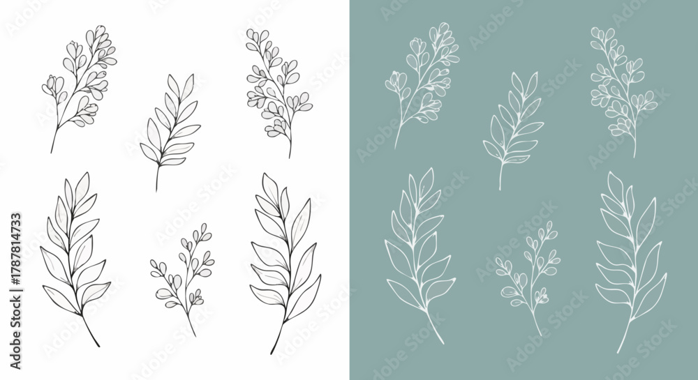 Fototapeta premium Set of delicate hand-drawn botanical line art elements featuring various leafy branches perfect for branding, pattern design, or elegant decoration