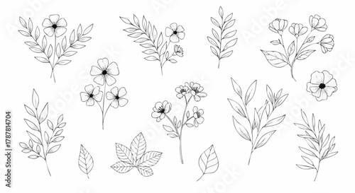 Set of delicate hand-drawn botanical illustrations featuring various wildflowers and leafy branches in a minimalist black and white sketch style