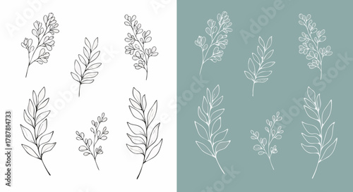 Set of delicate hand-drawn botanical line art elements featuring various leafy branches perfect for branding, pattern design, or elegant decoration