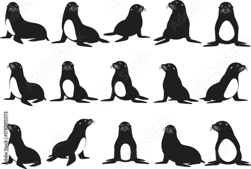 Sea lion and seal silhouette vector illustration collection, marine wildlife animals in sitting and resting poses, aquatic nature design, ocean animal art
