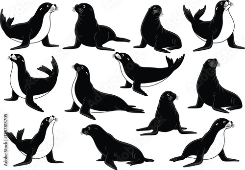 Photography Sea lion and seal silhouette vector illustration set, marine wildlife animals co