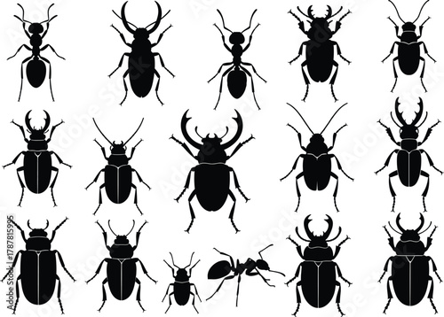 Set of beetle and ant insect silhouette vector illustration, entomology collection, bug species diversity design, black and white nature art graphic
