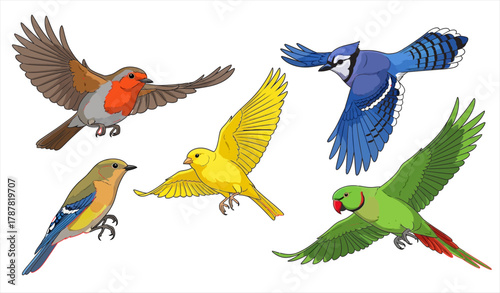 collection of colorful bird icons in flight