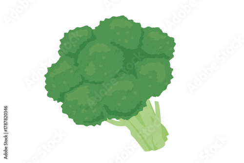 Broccoli hand-drawn illustration