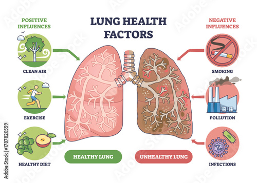 Lung health factors compare healthy vs unhealthy lungs, driven by smoking, pollution, and clean air, key objects, lungs, cigarette, factory. Outline diagram