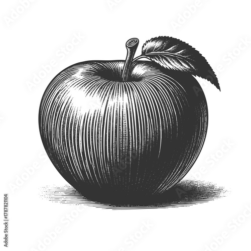 apple surrounded by detailed leaves, drawn in a traditional engraving technique sketch engraving generative ai fictional character vector illustration. Scratch board imitation. Black and white image.