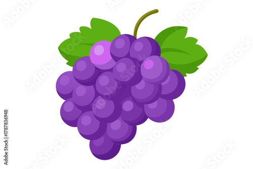 A bunch of ripe purple grapes with green leaves and a stem on a white background