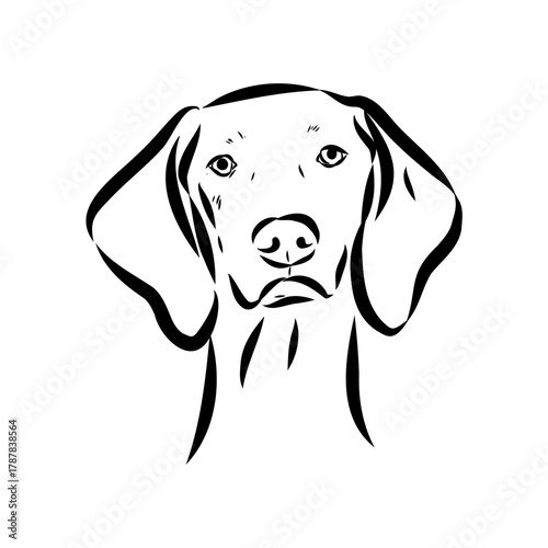 Hungarian doll, dog, vector sketch