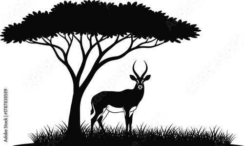 Antelope under acacia tree silhouette, black and white vector illustration for wildlife storytelling, nature themes, and editorial savanna content