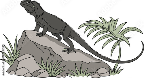 Majestic dark iguana surveys its domain from a rocky perch amidst lush tropical foliage
