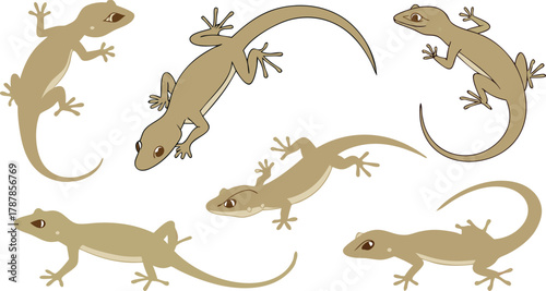 Charming collection of diverse gecko poses, showcasing their unique agility and natural elegance for educational and design projects
