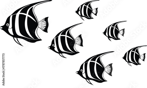 Elegant school of angelfish gracefully swims in formation, evoking serene ocean depths and aquatic beauty for captivating designs.