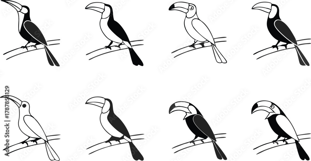 Obraz premium Diverse toucan illustrations showcasing various styles and color variations perfect for vibrant nature designs