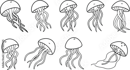 Graceful jellyfish swimming in ocean depths, elegant marine life, beautiful sea creatures in flowing motion, underwater beauty captured